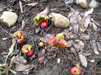 Similar image 21873295