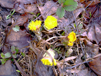 Similar image 21873297