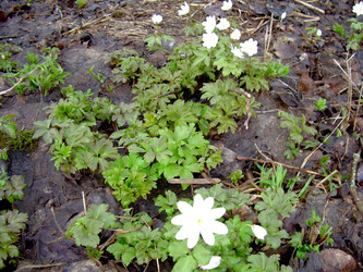 Similar image 21873299