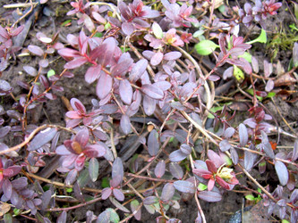 Similar image 21873300