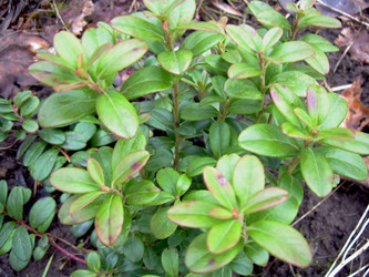 Similar image 21873301