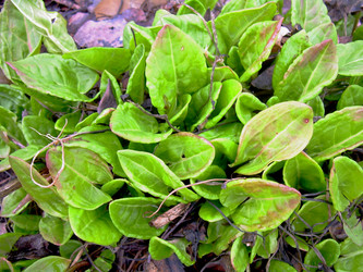 Similar image 21873302