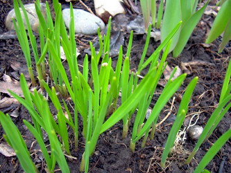 Similar image 21873303