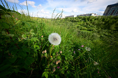 Similar image 21868395