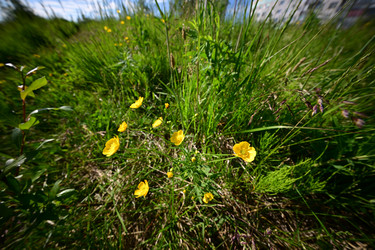 Similar image 21871741