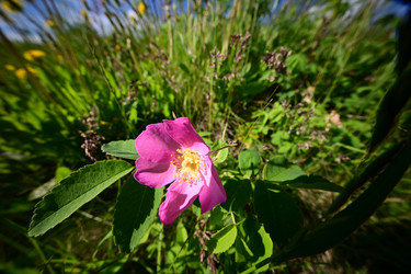 Similar image 21867457