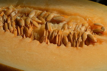 Similar image 21867458