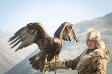 Similar image 21872247