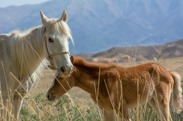 Similar image 21872251