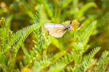 Similar image 21872252