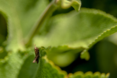 Similar image 21872254