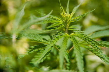 Similar image 21872256