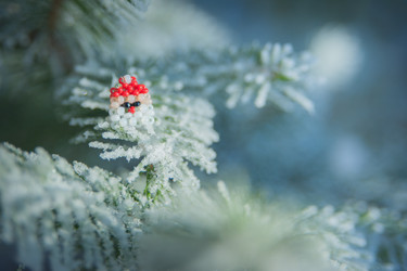 Similar image 21872257