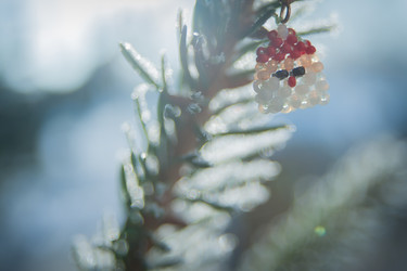 Similar image 21872258