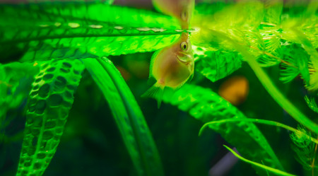 Similar image 21872260