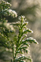 Similar image 21872262