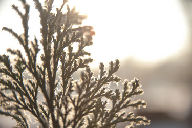 Similar image 21872263