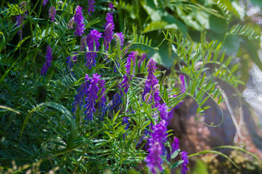 Similar image 21872266