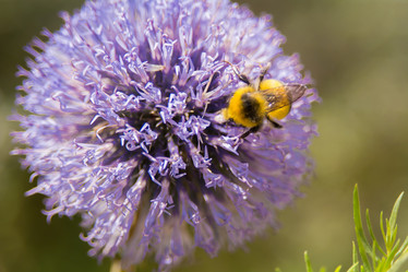 Similar image 21872267