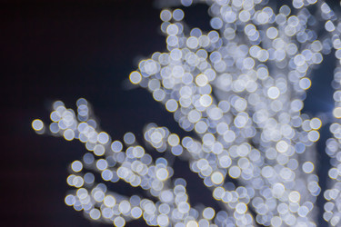 Similar image 21872268