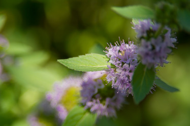 Similar image 21872269