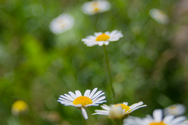 Similar image 21872270