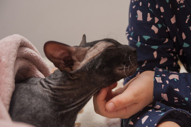 Similar image 21872271