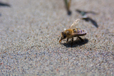 Similar image 21872273