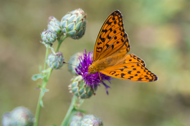 Similar image 21872274