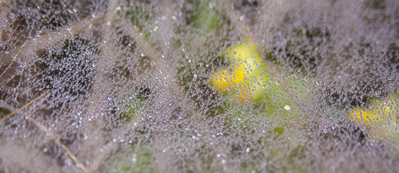 Similar image 21872275