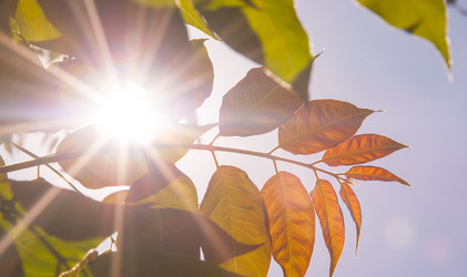 Similar image 21872278