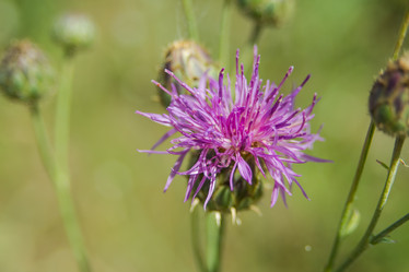 Similar image 21872292