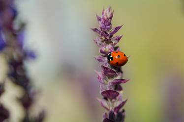 Similar image 21872293