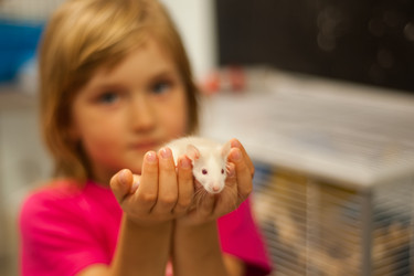 Similar image 21872294