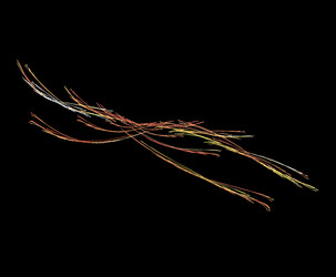 Similar image 21869835