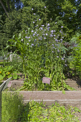 Similar image 21868480