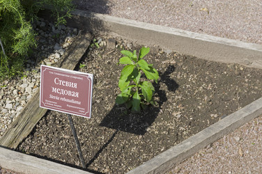 Similar image 21868481