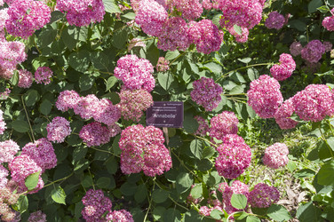 Similar image 21868482