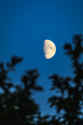 Similar image 21871999