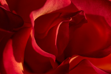 Similar image 21868396