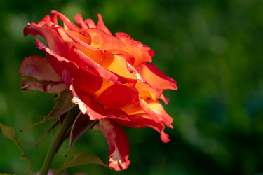 Similar image 21868397