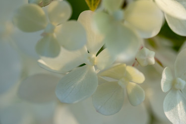 Similar image 21868399