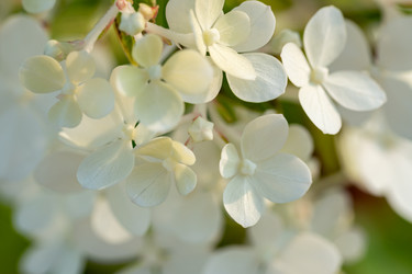 Similar image 21868400