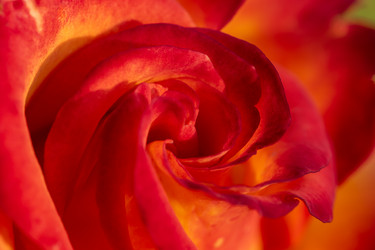 Similar image 21868401