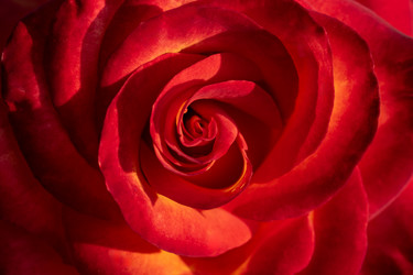 Similar image 21868402