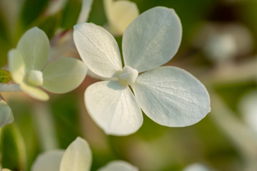 Similar image 21868403