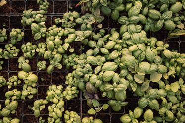 Similar image 21875908