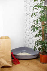 Similar image 21869147