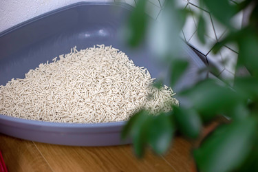 Similar image 21869161