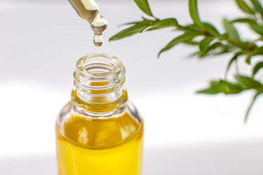 Similar image 21869169